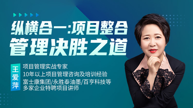 纵横合一：项目整合管理决胜之道