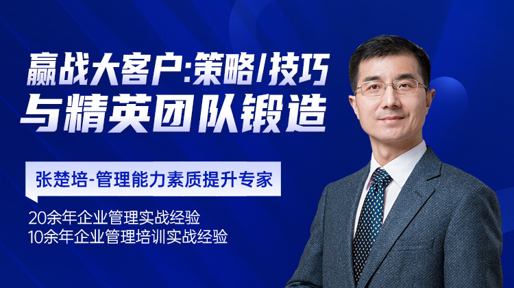 赢战大客户：策略、技巧与精英团队锻造