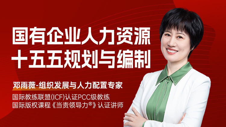 国有企业人力资源十五五规划与编制