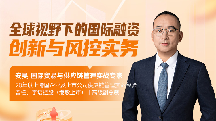 全球视野下的国际融资创新与风控实务