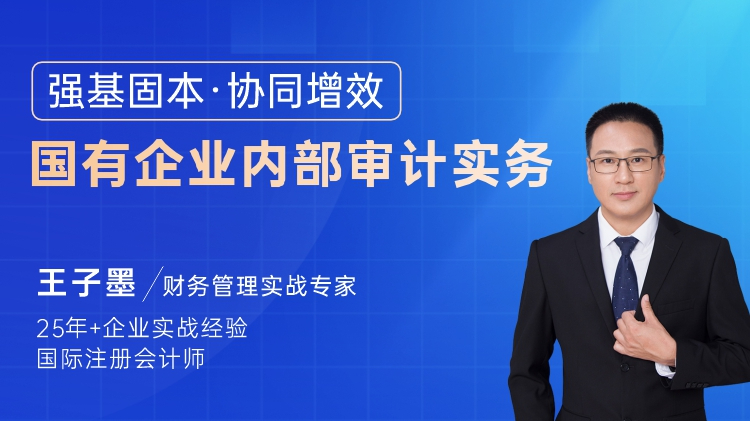 强基固本&middot;协同增效-国有企业内部审计实务