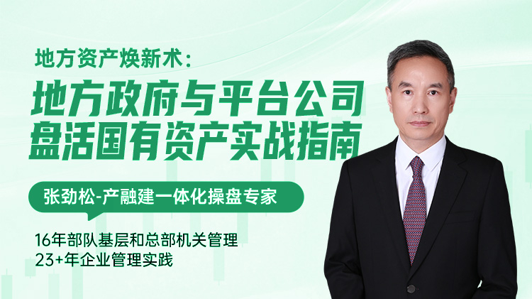 地方资产焕新术：地方政府与平台公司盘活国有资产实战指南